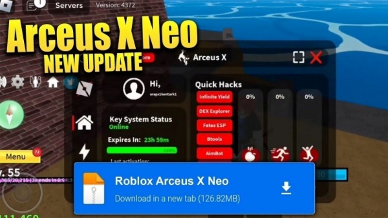 Arceus X