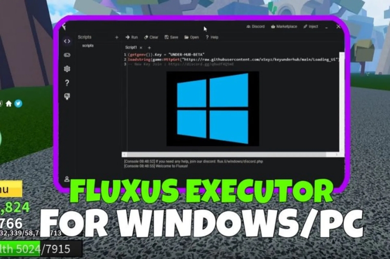 Fluxus Executor