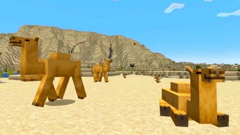 Minecraft 1.19.51