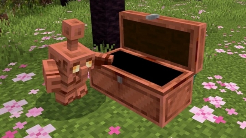Minecraft 1.21.100