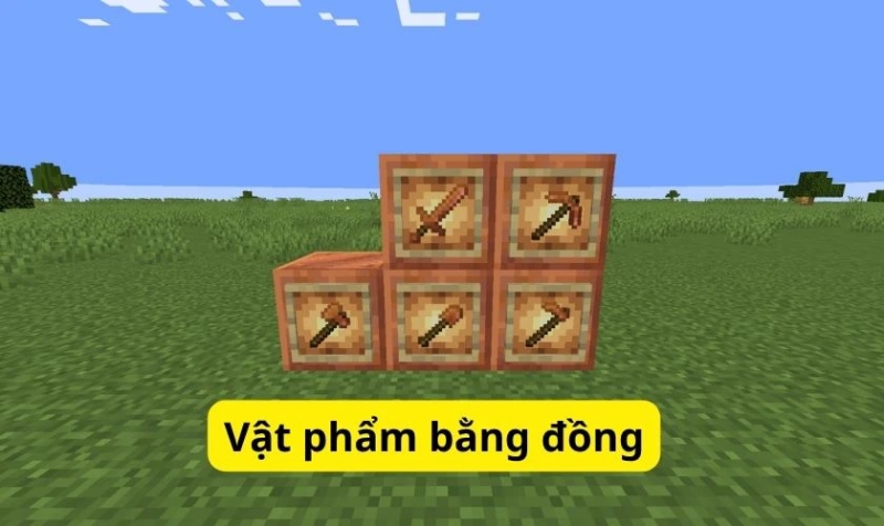 Minecraft 1.21.113