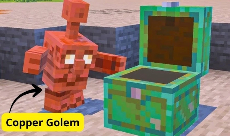 Minecraft 1.21.113