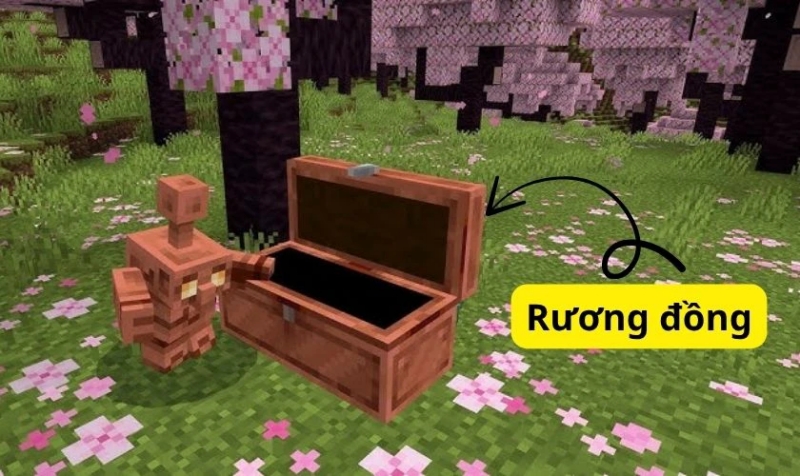 Minecraft 1.21.113