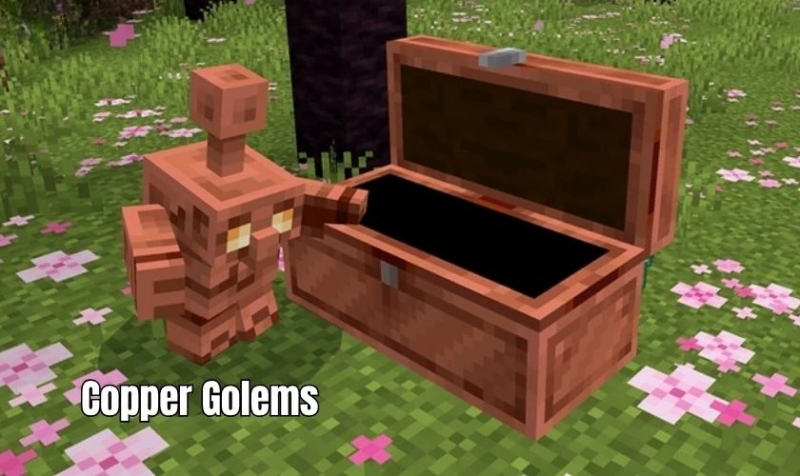 Minecraft 1.21.120