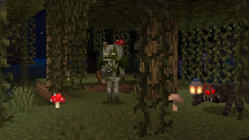 Minecraft 1.21.20