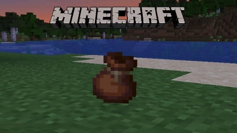 Minecraft 1.21.23