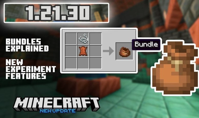 Minecraft 1.21.30
