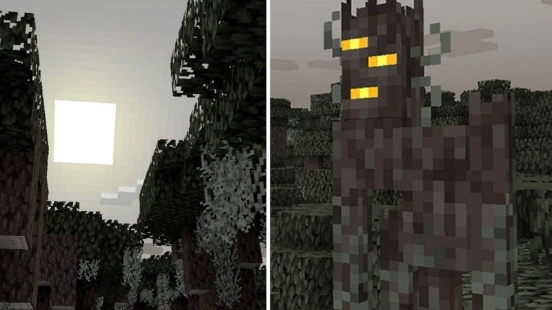 Minecraft 1.21.51