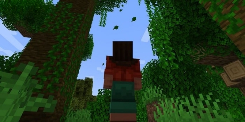 Minecraft 1.21.60