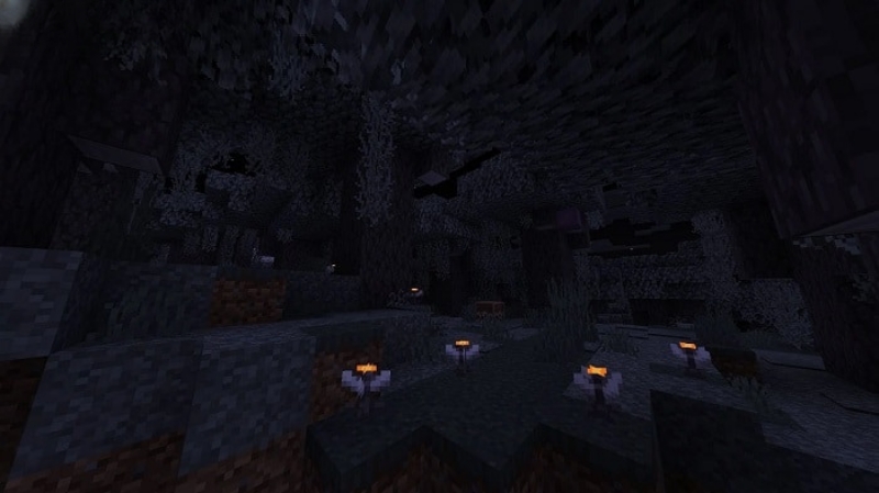 Minecraft 1.21.60
