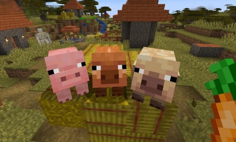 Minecraft 1.21.61 APK