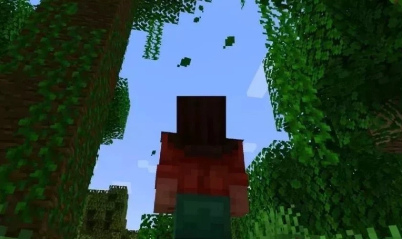 Minecraft 1.21.62