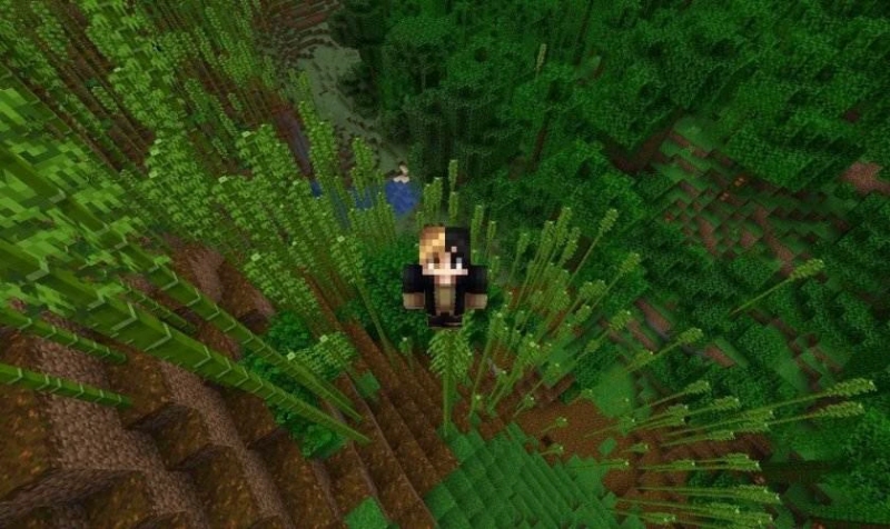 Minecraft 1.21.62