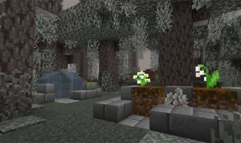 Minecraft 1.21.62