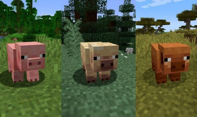 Minecraft 1.21.62