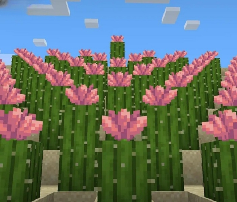 Minecraft 1.21.70