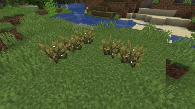 Minecraft 1.21.70