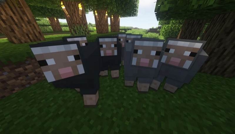 Minecraft 1.21.70