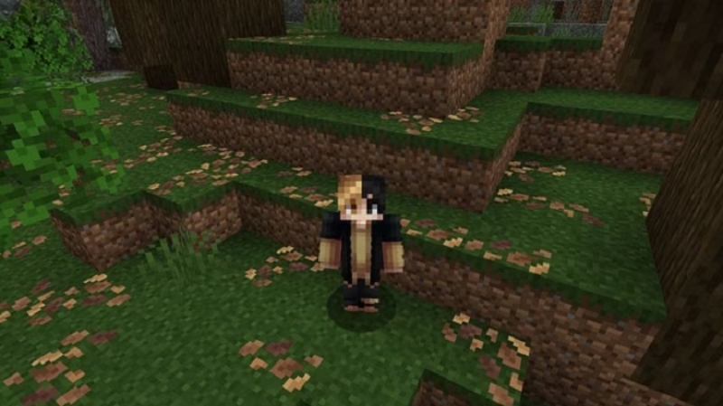 Minecraft 1.21.70