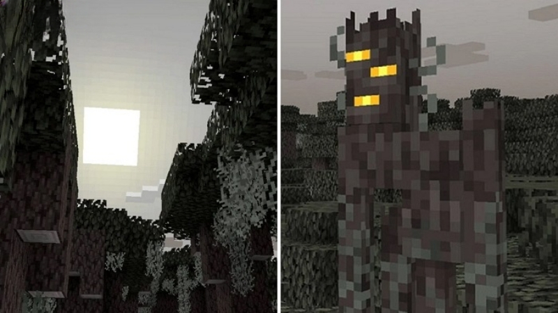 Minecraft 1.21.71