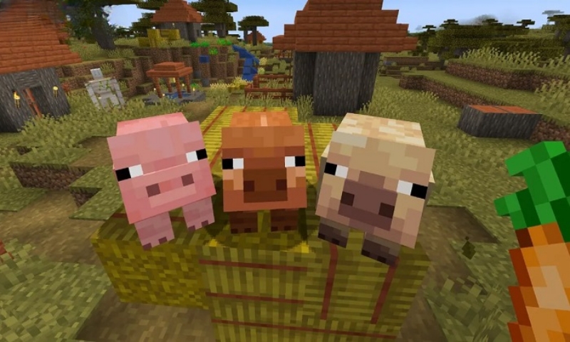 Minecraft 1.21.71