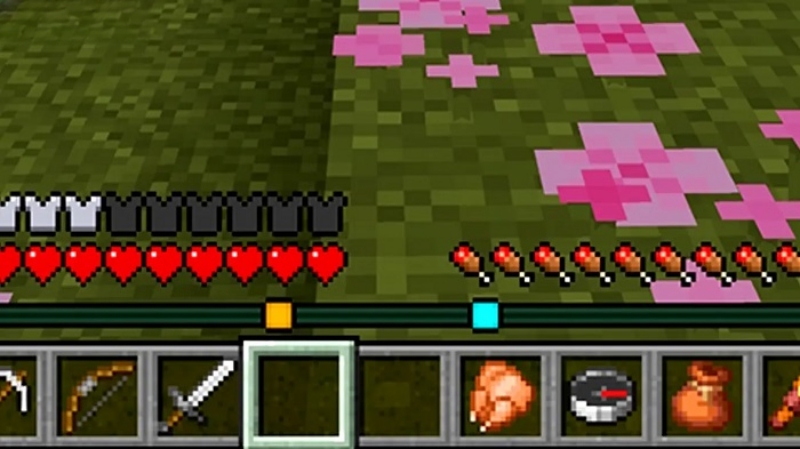 Minecraft 1.21.80