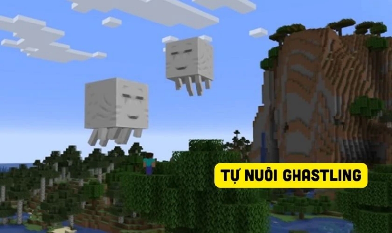 Minecraft 1.21.93